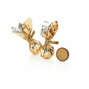 Venchi Milk Chocolate Filled With Gianduja Mousse Comet